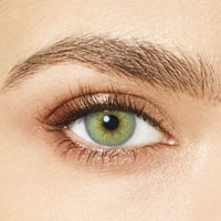Desìo Attitude Quarterly Collection in three tones torique Charming Green