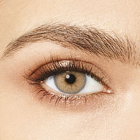 Desìo Attitude Quarterly Collection in three tones torique Tender Hazel
