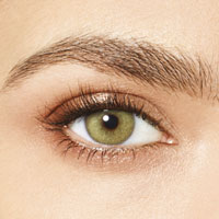 Desìo Attitude Quarterly Collection in two tones sphérique Wild Green