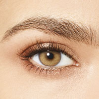 Desìo Attitude Quarterly Collection in two tones torique Delicious Honey